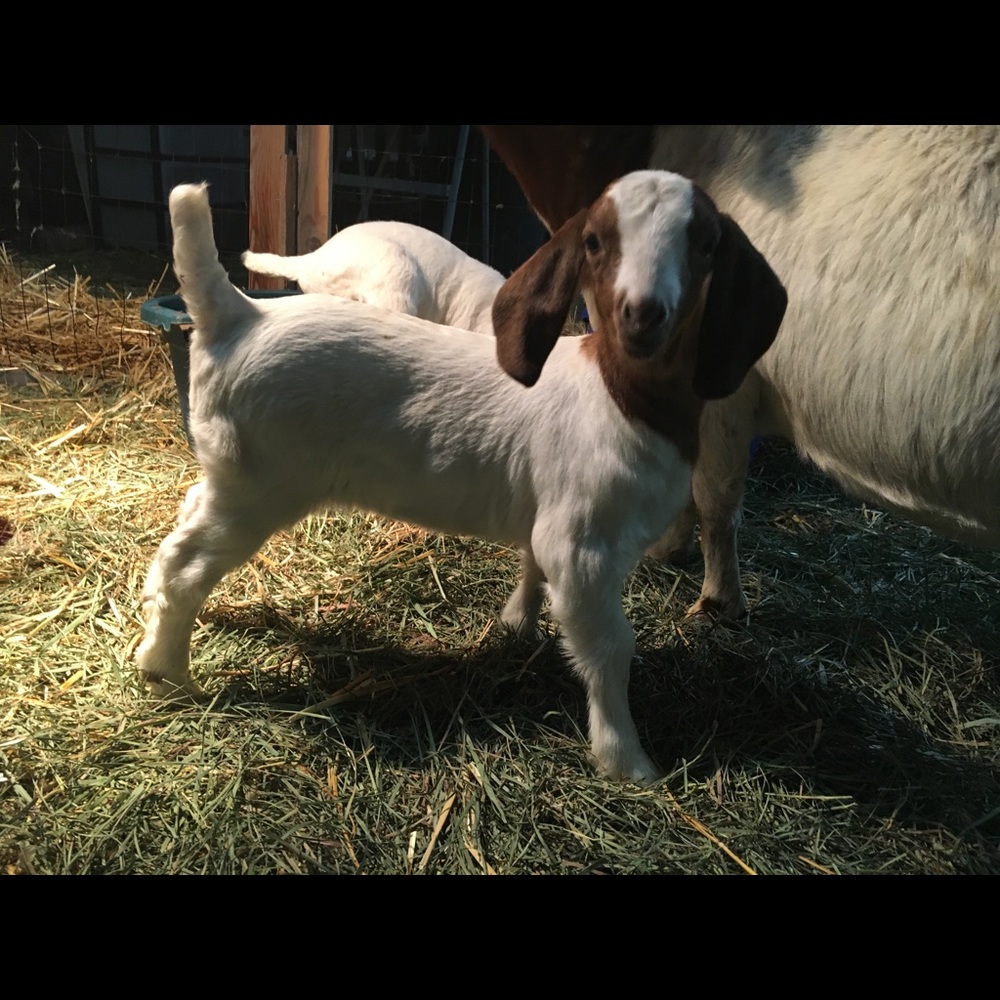 Meet your Posher, Tina